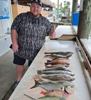Mixed bag of snappers and blues from Port Orange!