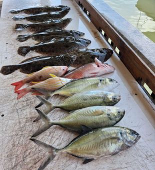 Mixed bag of Southern Flounder, Lane Snapper and Blue Runner!