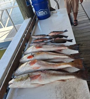 Port Orange redfish making memories on the water!