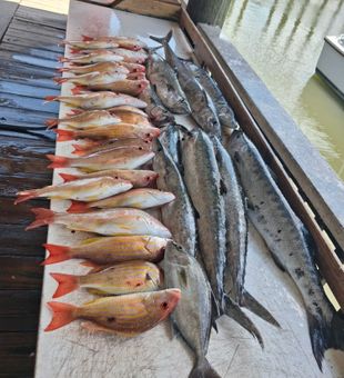 Lane snapper and longfin yellowtail from Port Orange waters!