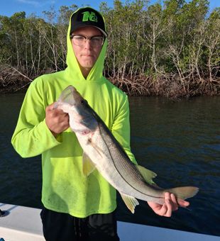 Beautiful Port Orange snook making the trip worthwhile!