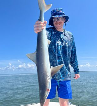 Nature Coast mornings hit different.