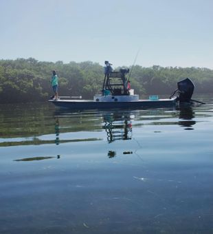 Perfect fishing conditions in Crystal River FL waters.
