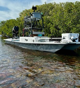 Scenic fishing trip in Crystal River