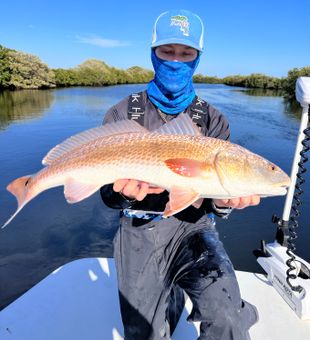Reeling in redfish near the flats