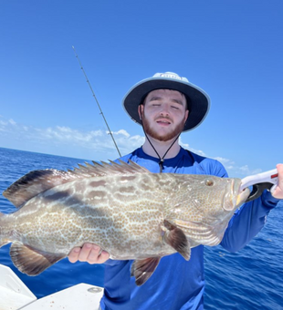 Gigantic Black Grouper Caught!