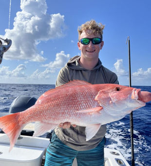 Splendid Red Snapper Moments Captured