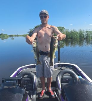 Quiet moments before the bite