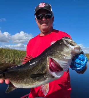Trophy bass from Fellsmere FL waters!