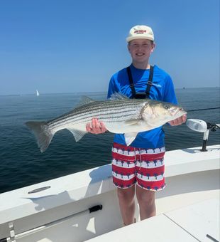 Local waters, steady action
