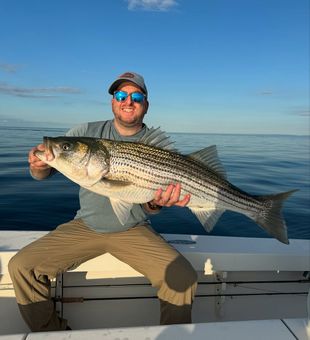Fairfield coast, big results