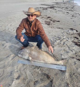 45" 40 lb Black Drum 