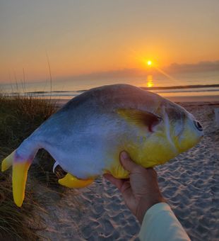 Beautiful catch at sunrise in Melbourne FL!