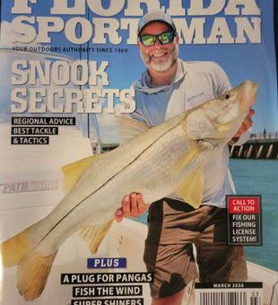 Melbourne snook fishing delivers impressive results!