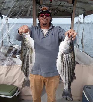 Fishing for Massive Striped Bass in SC