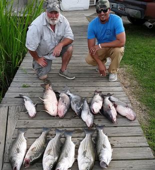 Santee Cooper Fishing for Striped Bass