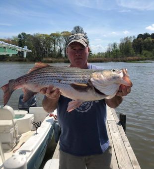 Fishing Lake Moultrie in Santee Cooper