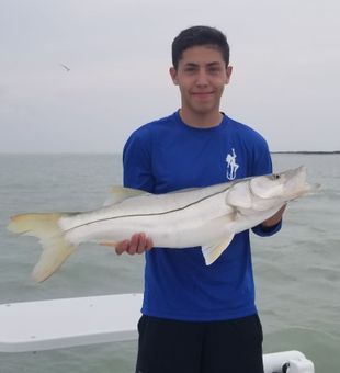 Snook Alert! - Port Isabel, TX.