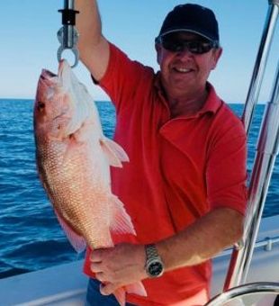 Red Snapper from Sarasota