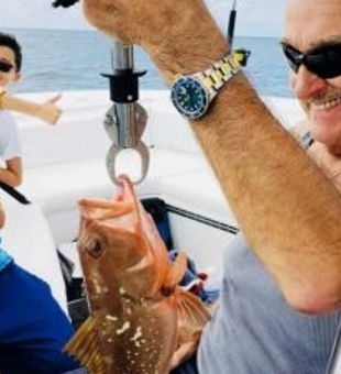 Grouper from Sarasota