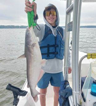 9 pound lake conroe blue cat