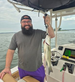 Productive bite on Lake Conroe!