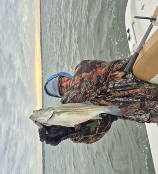 First Hybrid Striped Bass of the day