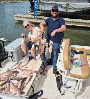 Outstanding striped bass action in Willis TX!