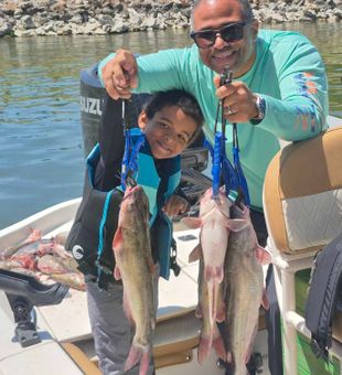 White catfish and blue catfish success in Willis TX!