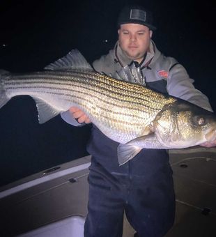 Epic Striped Bass Fishing In Connecticut