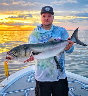 Bluefish Blitzing on the Whopper Plopper 190