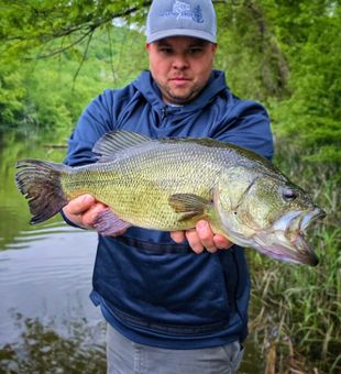 Big bass caught in Connecticut river.