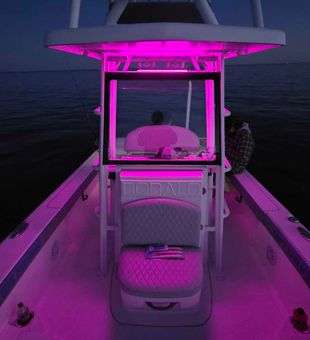 Night fishing setup glowing bright in Milford waters.