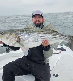 Powerful striped bass catch on open water