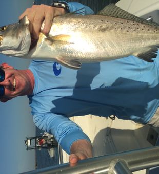Quality Galveston Bay speckled trout catch