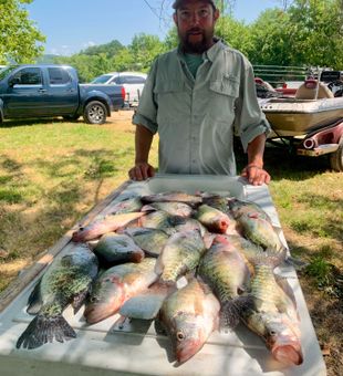 Quick limit 