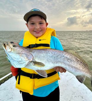 Beautiful speckled trout from Corpus Christi waters!