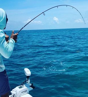 Premier Miami Beach Fishing Charters