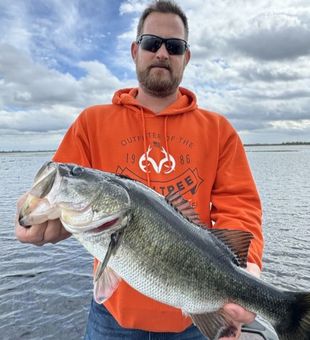 Awesome Largemouth Bass display!