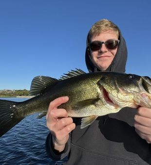 Hook, line, and Largemouth Bass!