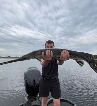 That Alligator Gar made my day!!