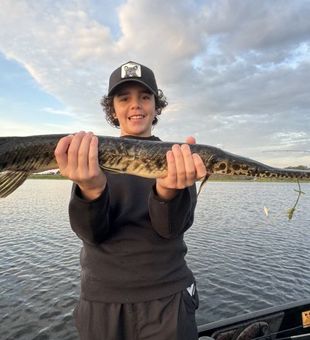 Orlando's Best Alligator Gar catch of the day!