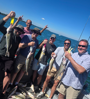 Cleveland walleye fishing success with multiple catches!