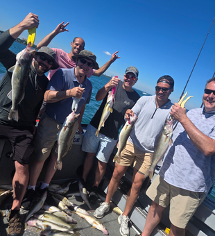 Cleveland walleye fishing success with multiple catches!