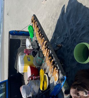 Clam digging at Fort Stevens Beach!