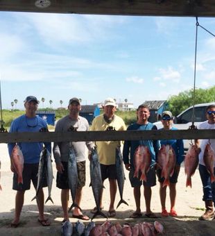 Saltwater dreams come true here