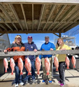 Bold Red Snapper Dockside Haul