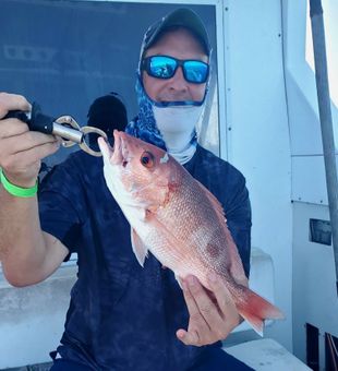 Vibrant red snapper catch offshore fishing day