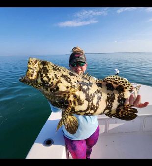 Massive Goliath Grouper from Big Pine Key waters!