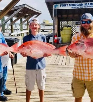 Red Snapper in Gulf Coast
